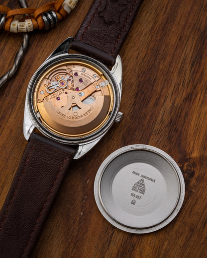 Omega Seamaster Automatic Date "Sparkle" dial Ref. 166.067 (Cal. 565)